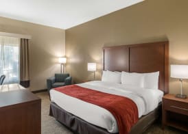 Comfort Inn & Suites Cedar Hill Duncanville 4