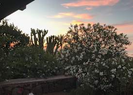Etherea - I Dammusini di Pantelleria 2