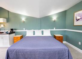Warm Mineral Springs Motel 4