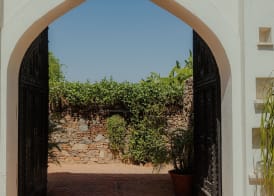 The Rawla Narlai - A Luxury Heritage Stay in Leopard Country 3