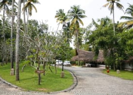Marari Beach Resort Alleppey - A CGH Earth Experience 3