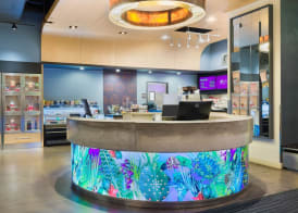 Aloft by Marriott Jacksonville Airport 5