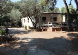 Village Camping Fico D'India 3