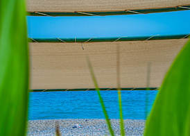 Grand Bahama Beach Hotel 4