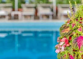 Hotel Delle Mimose 3