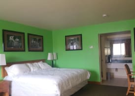 Retro Inn at Mesa Verde 4