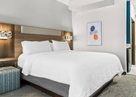 Holiday Inn Express & Suites DETROIT-NOVI by IHG 3
