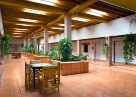 Termas de San Joaquin 2