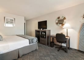 American Inn Suites Detroit Metro Airport 5