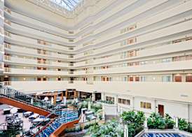 Embassy Suites by Hilton Tampa USF Near Busch Gardens 3