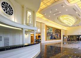 Golden Tulip - Aesthetics 2