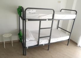 Albergue O Trisquel 4