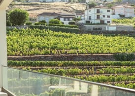 MW Douro Wine & Spa 3