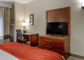 Comfort Inn & Suites Canton Riverstone Area 4