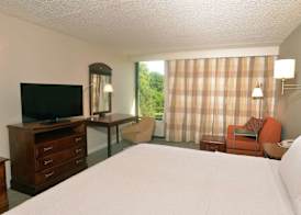 Hampton Inn Springfield-South 2