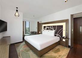 Novotel New Delhi Aerocity 5