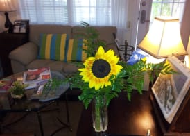 The Caribbean Court Boutique Hotel 2