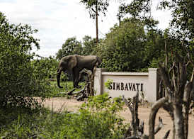 Simbavati River Lodge 4