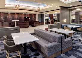 Embassy Suites by Hilton Tampa Brandon 3