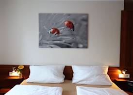 Hotel Klosterbräustuben 3