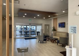 Holiday Inn Express & Suites GATINEAU - OTTAWA by IHG 2
