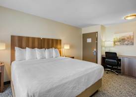Best Western North Phoenix Hotel 5