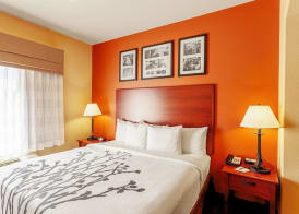 Sleep Inn & Suites Tyler South 5