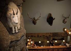 Three Bear Lodge 2