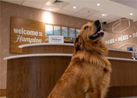 Hampton Inn & Suites Knoxville-Turkey Creek/Farragut 5