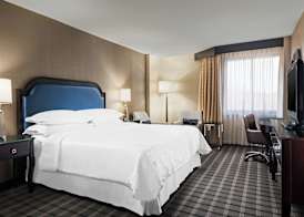Sheraton Charlotte Airport 5