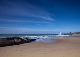 Uga Chena Huts - Yala - All Inclusive 4