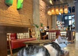 Suneta Hostel Chiangmai 2