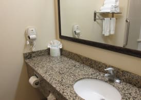 Holiday Inn Express & Suites WHEELING by IHG 5
