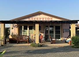 Fattoria Palazzeta - Pet & Family Friendly 2