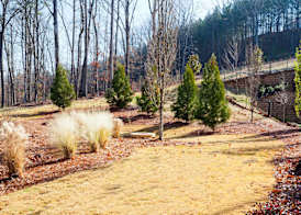 Home2 Suites By Hilton Alpharetta, Ga 5