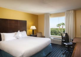 Fairfield Inn & Suites Houston Intercontinental Airport 4
