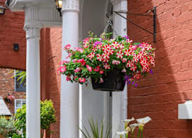 Darwins Townhouse 2
