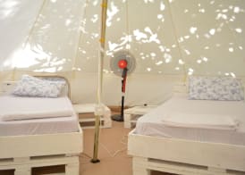 Tulia House Backpackers 4