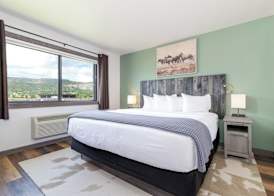 MTN Lodge Ridgway 5