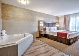 Comfort Inn & Suites South 5
