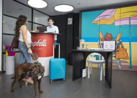 Casual Pop Art Hotel by Casual Hoteles 3