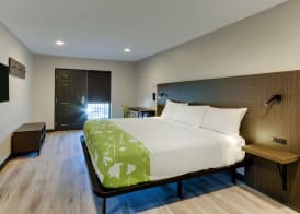 The Shamrock 4