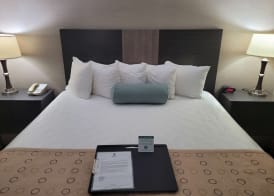 Best Western Airport Inn 5