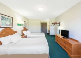 Quality Inn Clare 4