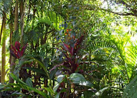 Koompartoo Retreat Bellingen 4
