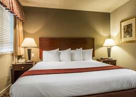 Quality Suites Buckhead Village 4