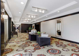 Crowne Plaza HOUSTON GALLERIA AREA by IHG 4