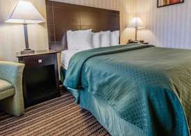 Quality Inn 4