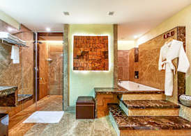 Flora Airport Hotel and Convention Centre Kochi 5