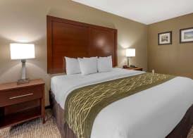 Comfort Inn & Suites Pittsburgh South 5
